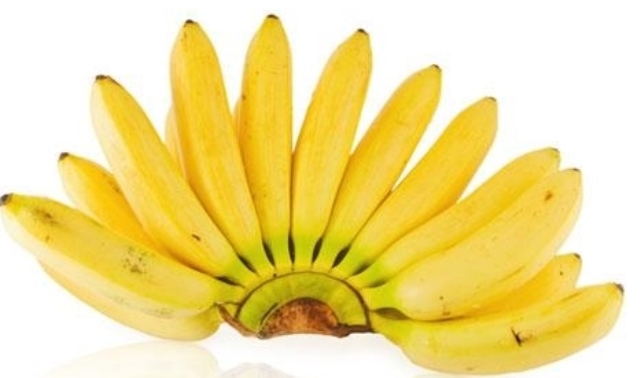 Концентрированная паста Банан Paste for Pastry & Ice cream Sauce Banana 6*1,6 кг FO Ozmer